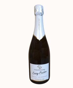 Šampanas Bruto Selection les Beaunes Premier Cru 2019 0.75 l