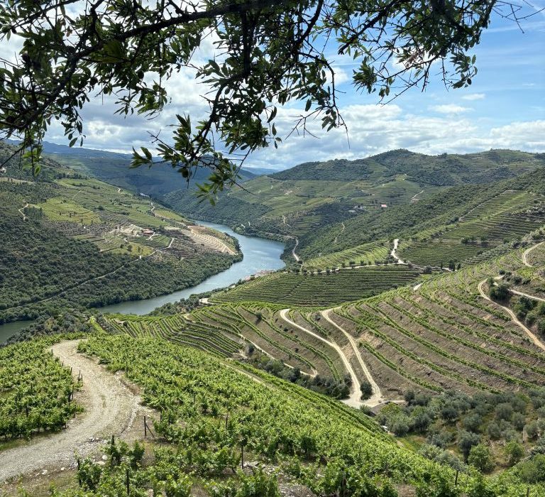 Douro regionas Portugalija